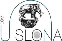 Dumuslona logo transparent